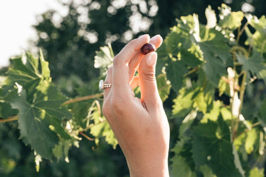 Mano della sposa che tiene un singolo acino di Prugnolo Gentile in una vigna della Val d’Orcia durante un elopement in Toscana.